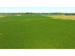 Property photo 22 - LAND AUCTION - 1,193+/- ACRES IN 14 TRACTS IN PIKE & GIBSON COUNTY, INDIANA